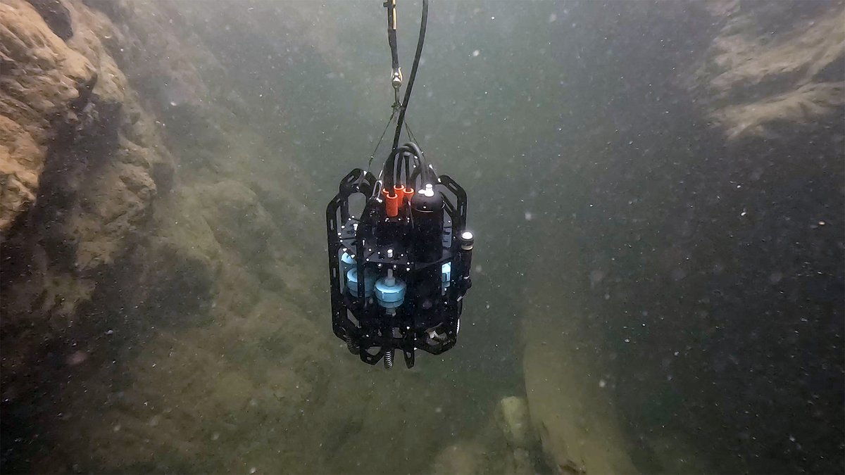 Ocean Diagnostics tweet media