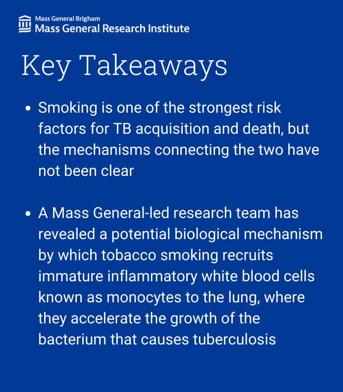 Mass General Brigham Research (@mgbresearchnews) on Twitter photo In a recent <a href="/ScienceMagazine/">Science Magazine</a> publication, researchers from <a href="/ragoninstitute/">Ragon Institute</a> <a href="/mgh_id/">MGH Division of Infectious Diseases</a> and colleagues found a link between smoking and the immune cells that invade the lungs, and it may increase the risk of tuberculosis.
Read more: massgeneral.org/news/press-rel… <a href="/LabMedoff/">MedoffLab</a> <a href="/kwonlab/">Doug Kwon</a> In a recent <a href="/ScienceMagazine/">Science Magazine</a> publication, researchers from <a href="/ragoninstitute/">Ragon Institute</a> <a href="/mgh_id/">MGH Division of Infectious Diseases</a> and colleagues found a link between smoking and the immune cells that invade the lungs, and it may increase the risk of tuberculosis.
Read more: massgeneral.org/news/press-rel… <a href="/LabMedoff/">MedoffLab</a> <a href="/kwonlab/">Doug Kwon</a>