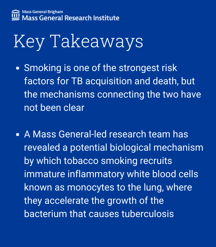 In a recent @ScienceMagazine publication, researchers from @ragoninstitute @mgh_id and colleagues found a link between smoking and the immune cells that invade the lungs, and it may increase the risk of tuberculosis. Read more: massgeneral.org/news/press-rel… @LabMedoff @kwonlab