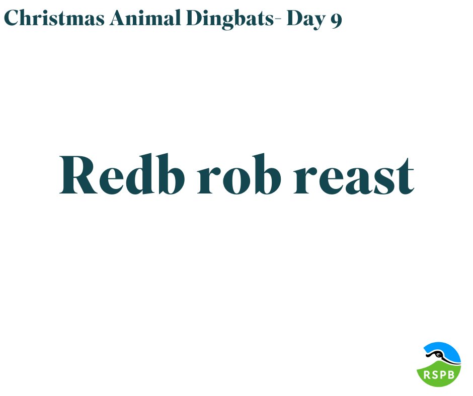 12 DAYS OF CHRISTMAS- DAY 9 We have a little #quiz for you over the 12 days of #Christmas…can you solve all the dingbats? They are all animals associated with Christmas. Can you solve today’s #puzzle? Answers will be published at 7pm!