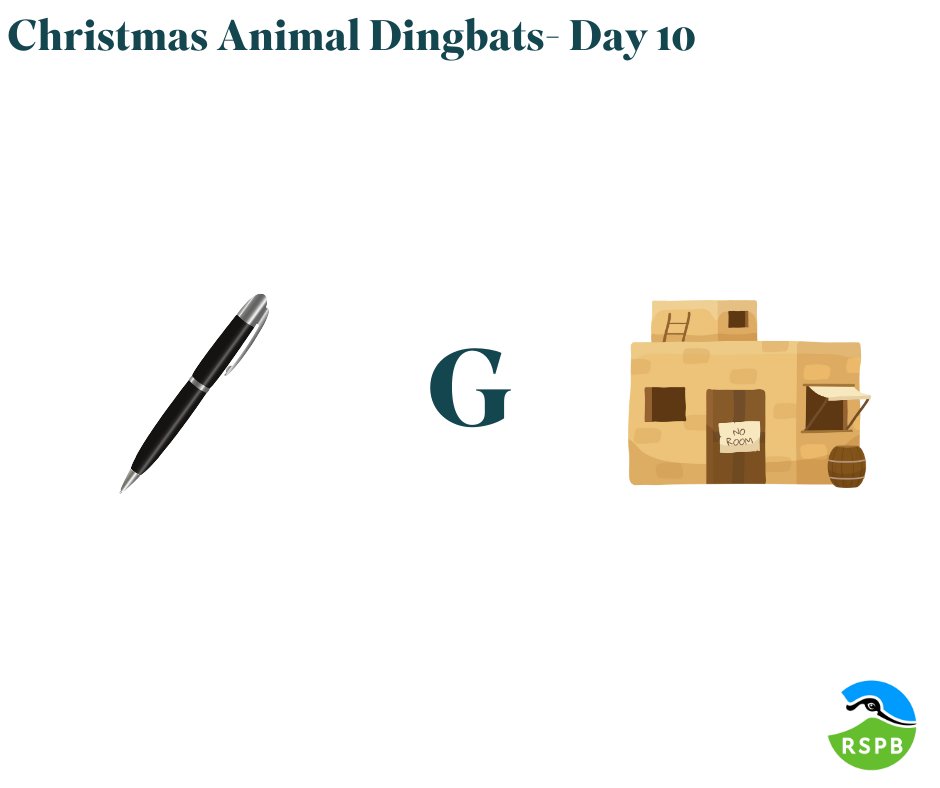 12 DAYS OF CHRISTMAS- DAY 10 We have a little #quiz for you over the 12 days of #Christmas…can you solve all the dingbats? They are all animals associated with Christmas. Can you solve today’s #puzzle? Answers will be published at 7pm!