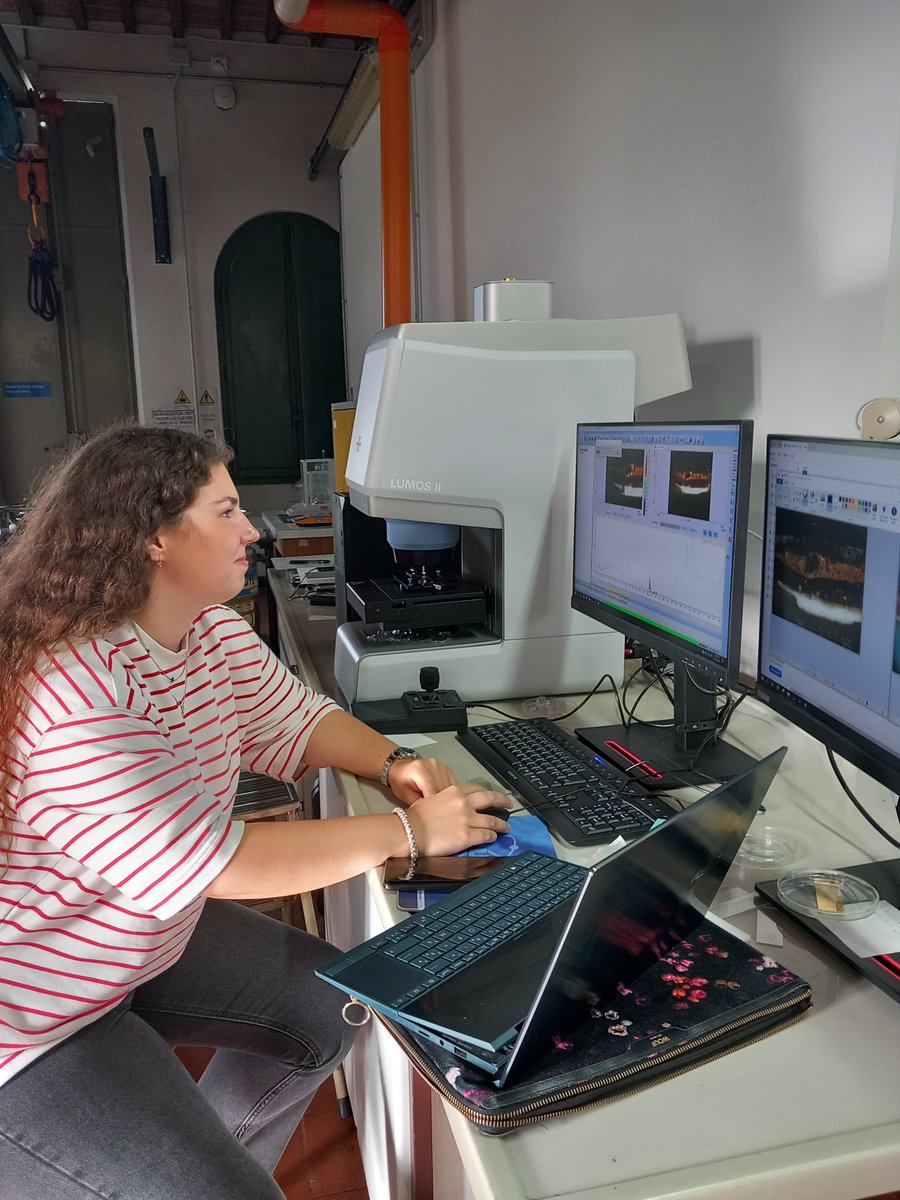 iperion_hs's tweet image. Amandine Colignon and Dr. Francisco Mederos-Henry from KIK-IRPA implemented #iperion_hs #archlab #tna project at the Opificio delle Pietre Dure and @CNR_INO @Didacus_QB : “Metal Oxalates in Italian tempera paintings from the 15th and 16th centuries (MetOx-IT)” 
🇧🇪🌍🇮🇹
@ErihsEu
