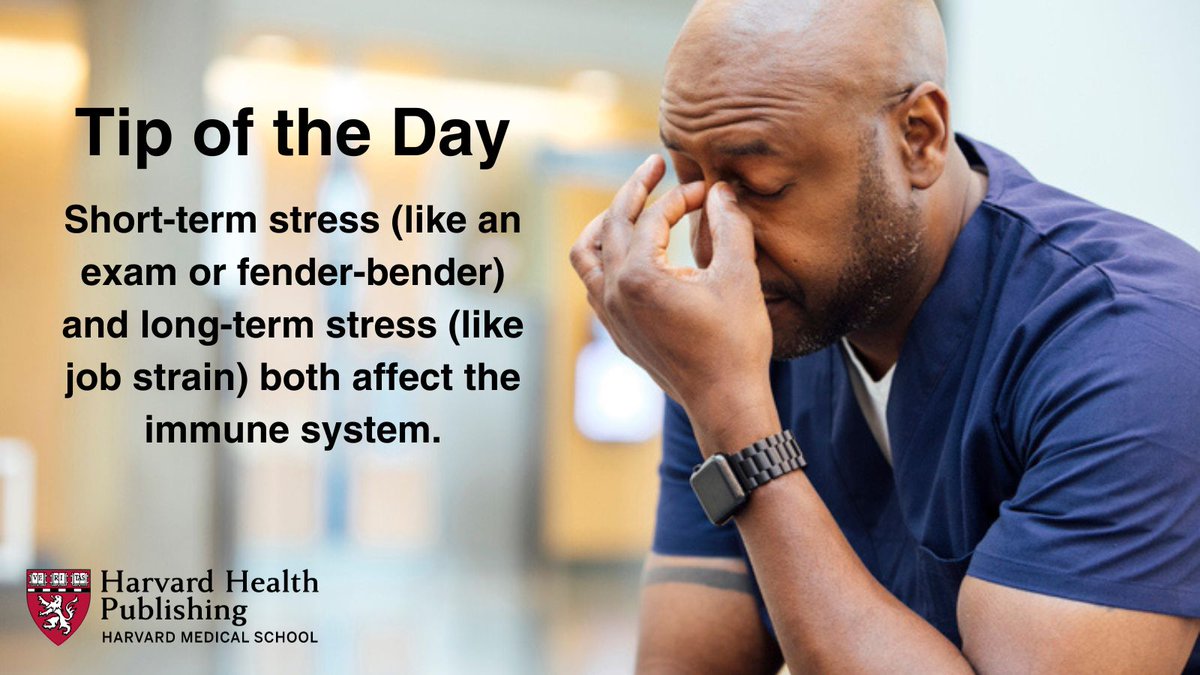 Stress and your immune system: Short-term stress (like an exam or fender-bender) and long-term stress (like job strain) both affect the immune system. #HarvardHealthTipoftheDay #HarvardHealth 
bit.ly/48jkueh