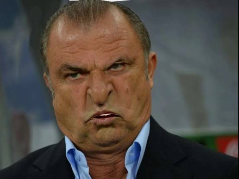 Rastgele bi Fatih Terim fotoğrafın yoksa 2024 bøk gibi geçecek.