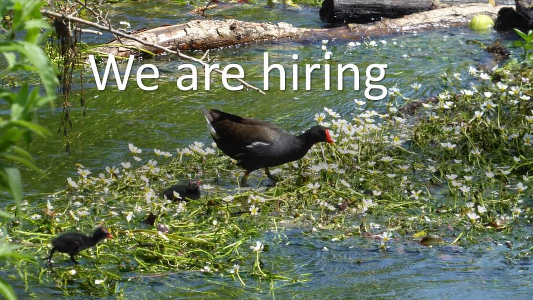 Join the ARK team, we are seeking a River Catchment Project Officer. We are recruiting an officer to continue our work to improve rivers and wetlands for wildlife and people. The deadline for applications is 12th January 2024. To find out more: riverkennet.org/uploads/files/…