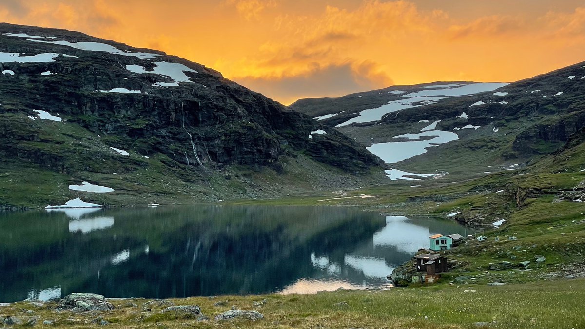 📣TWO four-year PhD positions in Arctic plant 🌱 ecology/environmental science (with me and @APEGU1). Please share and/or apply! Deadline Jan 19. web103.reachmee.com/ext/I005/1035/… 📷: Kai Sattler, of our field site 😍