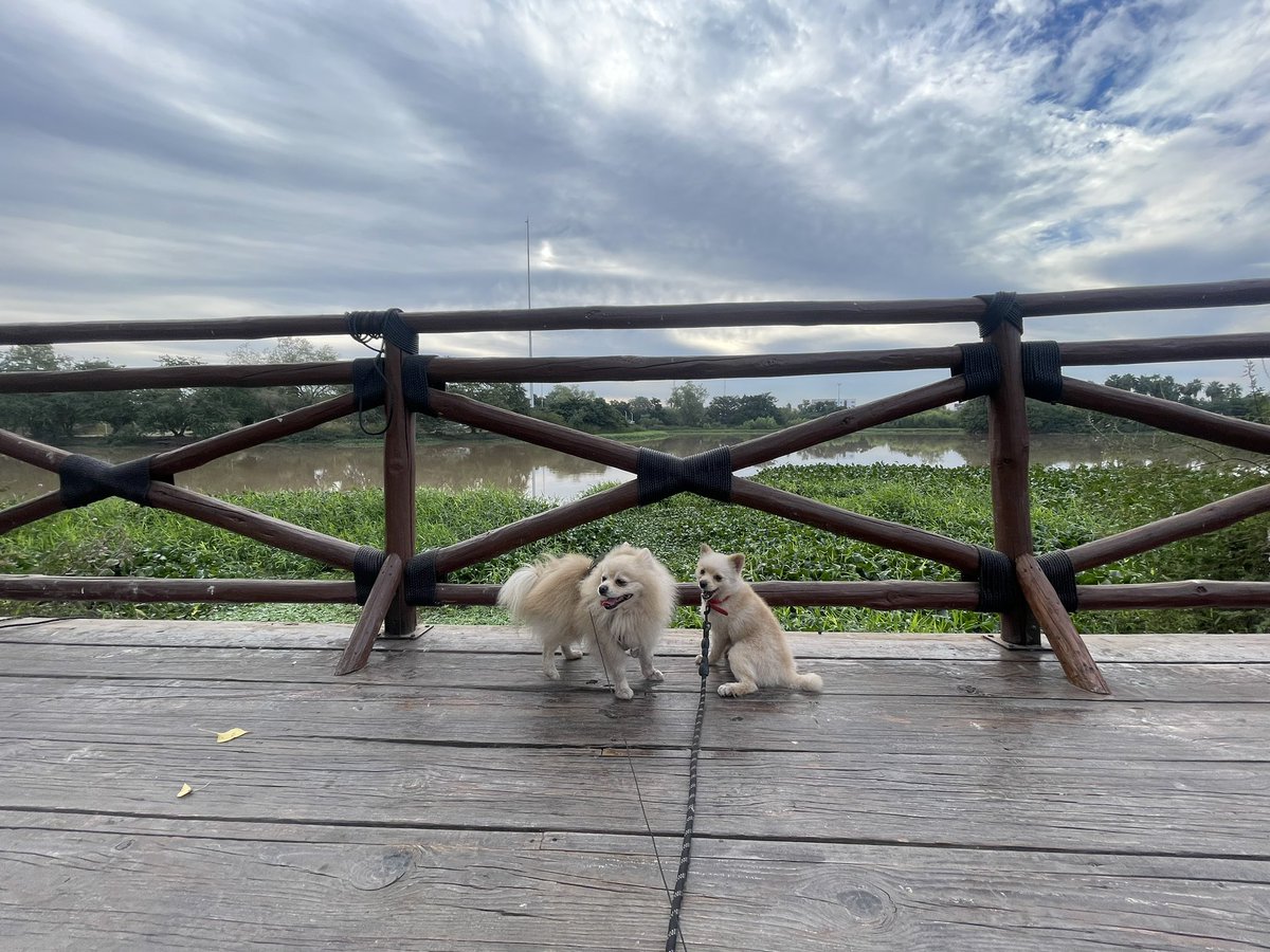 jacaco's tweet image. #MaxMassi en #LasRiberas… #WakeUp