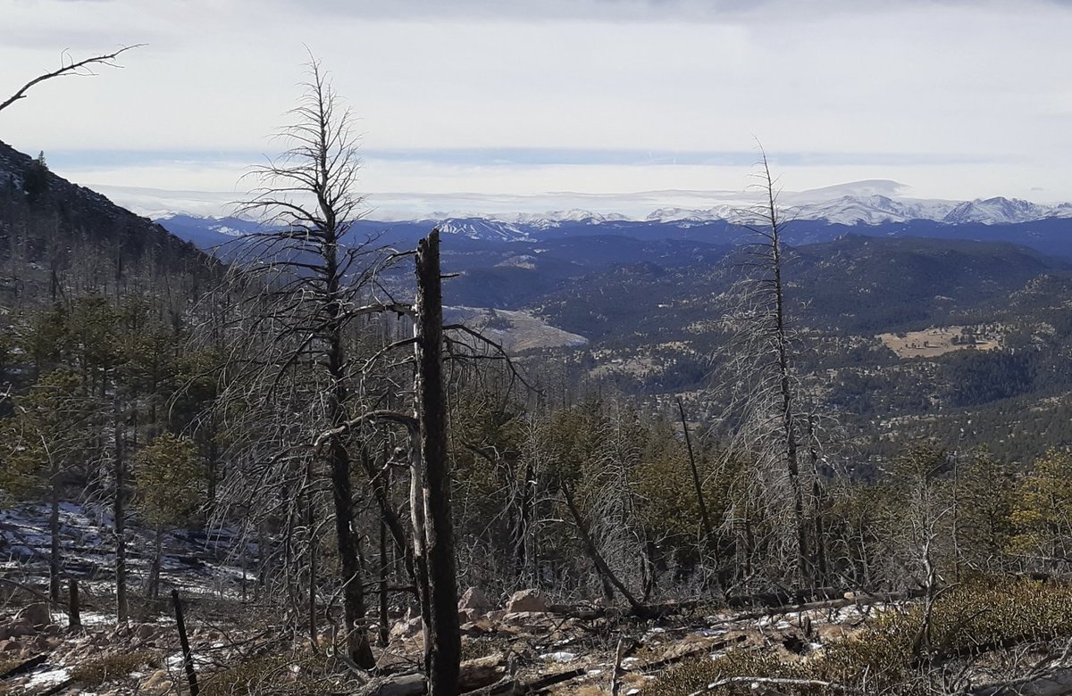 My @HYCLIMM team @SLFDavos and <a href="/usys_ethzh/">D-USYS@ETH</a> is offering a PhD position on “Synchronous forest #fires in Europe under current and future climate conditions". You are interested in #fires, have experience with programming and climate data? Apply here: jobs.ethz.ch/job/view/JOPG_…