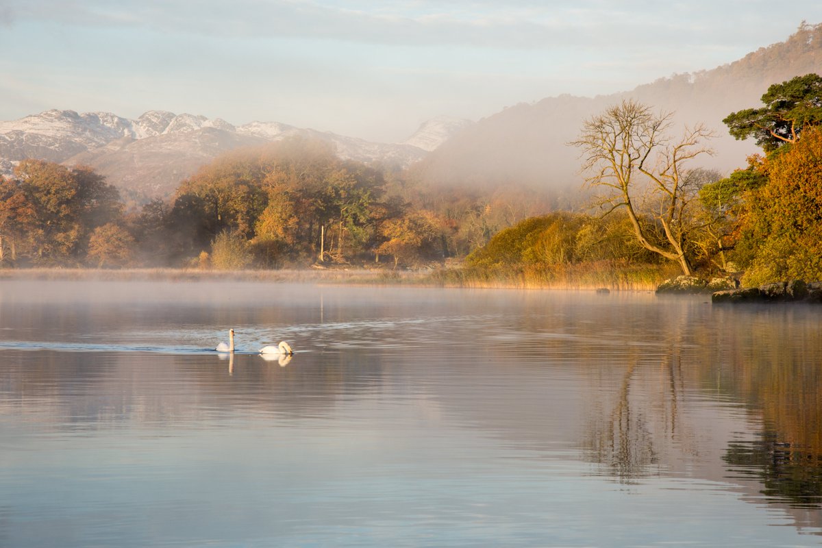 This is the best way to see it all! Discover 5 underrated walks around the Lake District in our latest article 🍂

➡easyvoyage.co.uk/news/article-3…

📸Joe Dunckley / <a href="/Shutterstock/">Shutterstock</a>

#LakeDistrict #lakedistrictwalks #uk #travel
