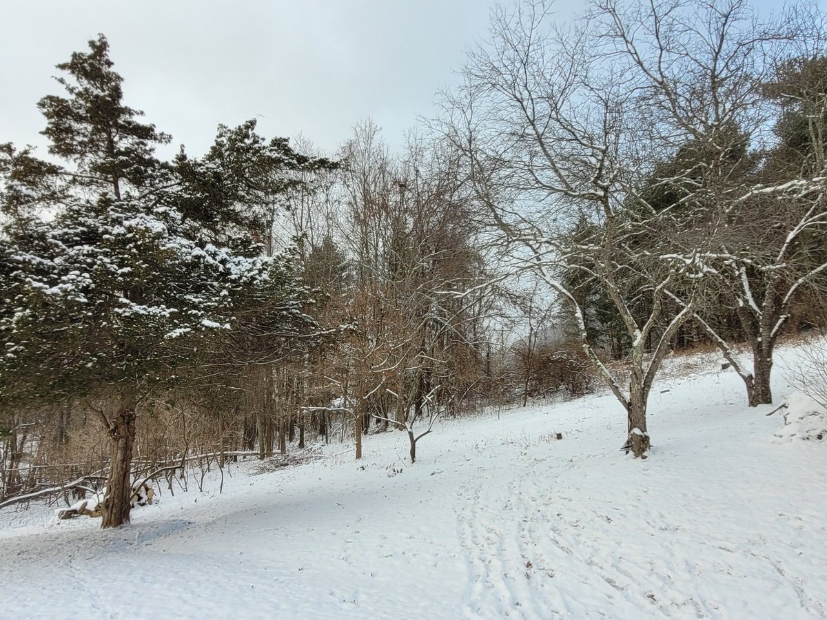 _Flowerleaf_'s tweet image. Gorgeous morning after last night's  snow!