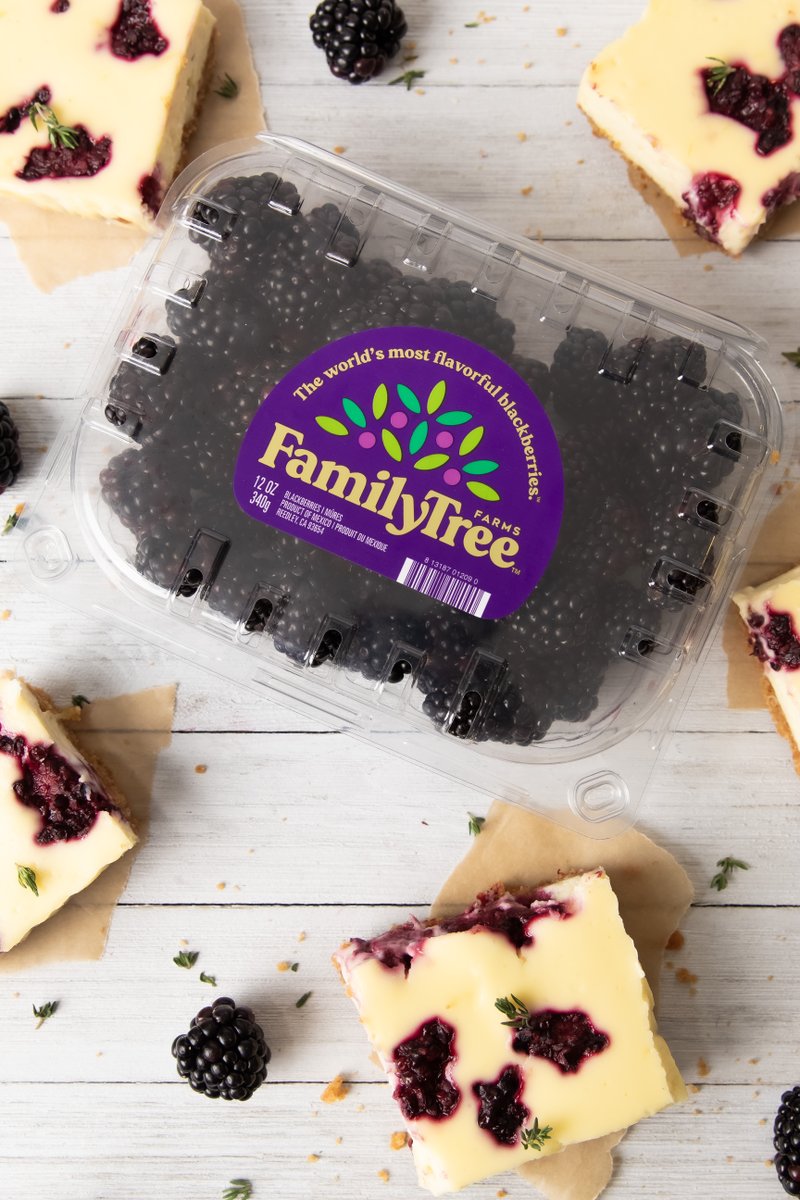 Blackberry sweetness unleashed! 💜 ____ #FamilyTreeFarms #fresh #produce #fruit #berries #blackberries #farmtofork #supportfarmers #inthekitchen #cheesecake