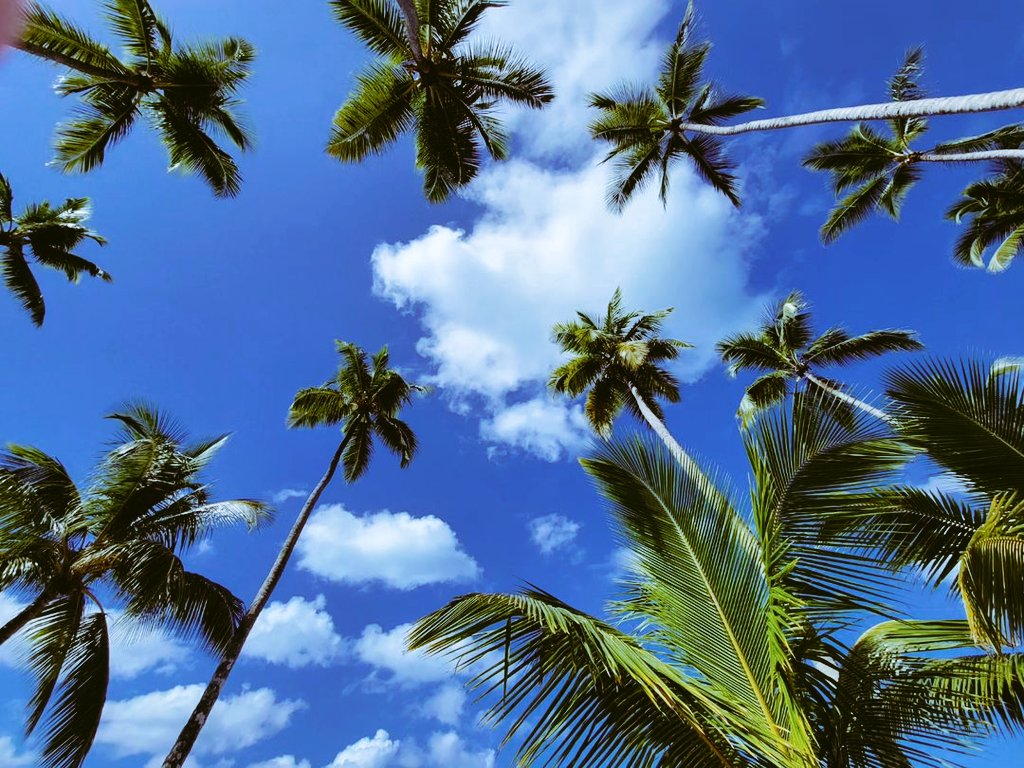 #UnlockingWonder with <a href="/MyLeisureTym/">Leisure Tym</a> 
#Travel #Africa #Westcoast #Oilcity #Ghana #AhantaRivera