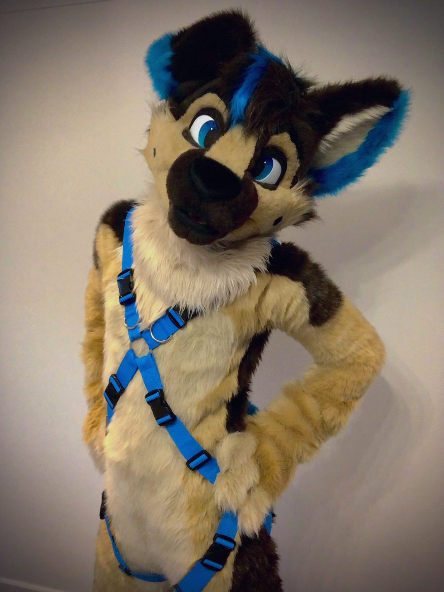🎊 RAFFLE 🎊 

Wanna get wrapped for Xmas? 
Try your luck with this raffle! Winner gets a Harness of your choice!

To enter:
- Retweet and Follow 

Winner gets picked on 25.12.2023 

Need a last minute gift? Gift Cards are now available at
sew.dog/store