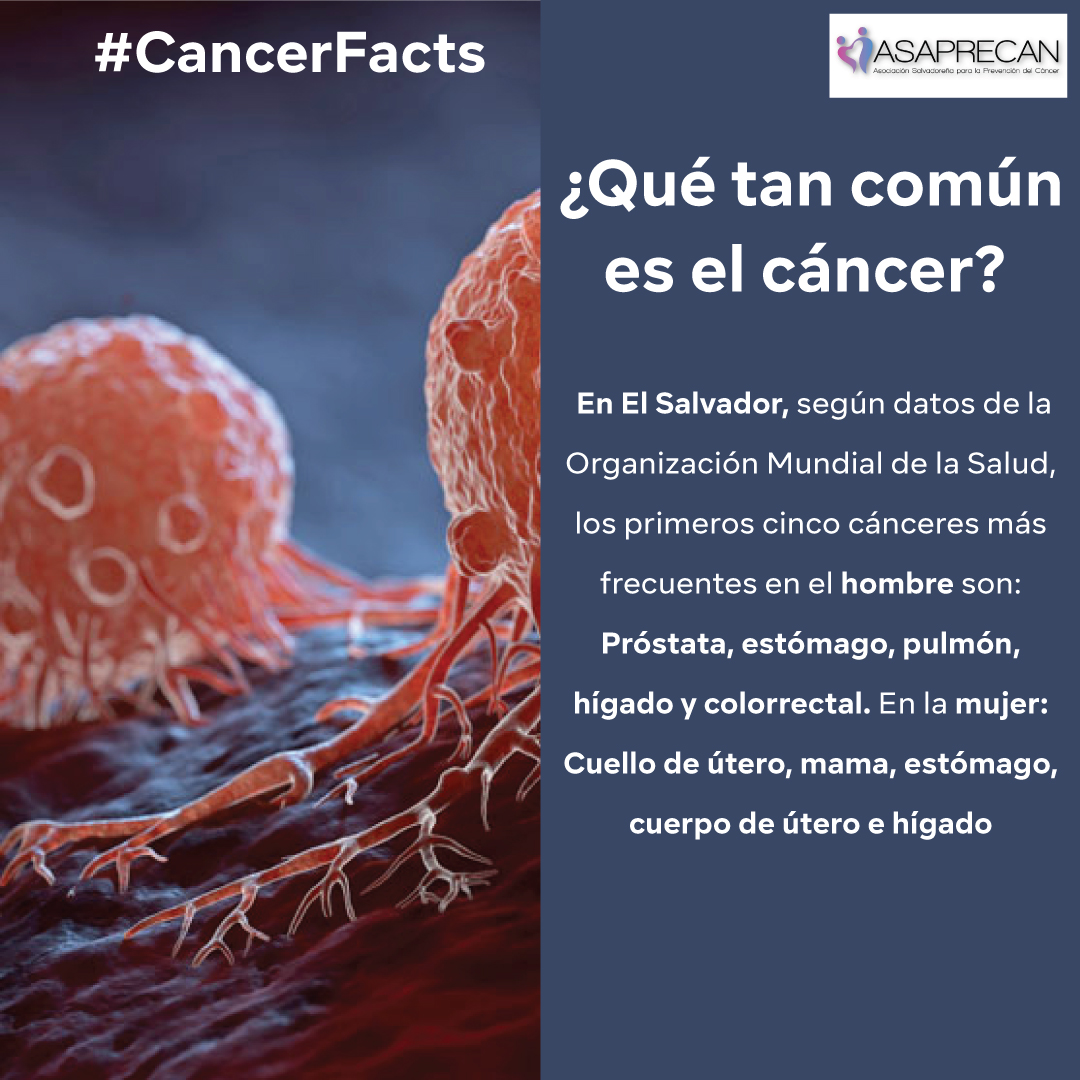 #CancerFacts El riesgo de desarrollar la mayoría de los tipos de cáncer se puede reducir mediante cambios en el estilo de vida de la persona, por ejemplo, dejar de fumar, limitar el tiempo de exposición al sol, hacer ejercicio y tener una alimentación sana.