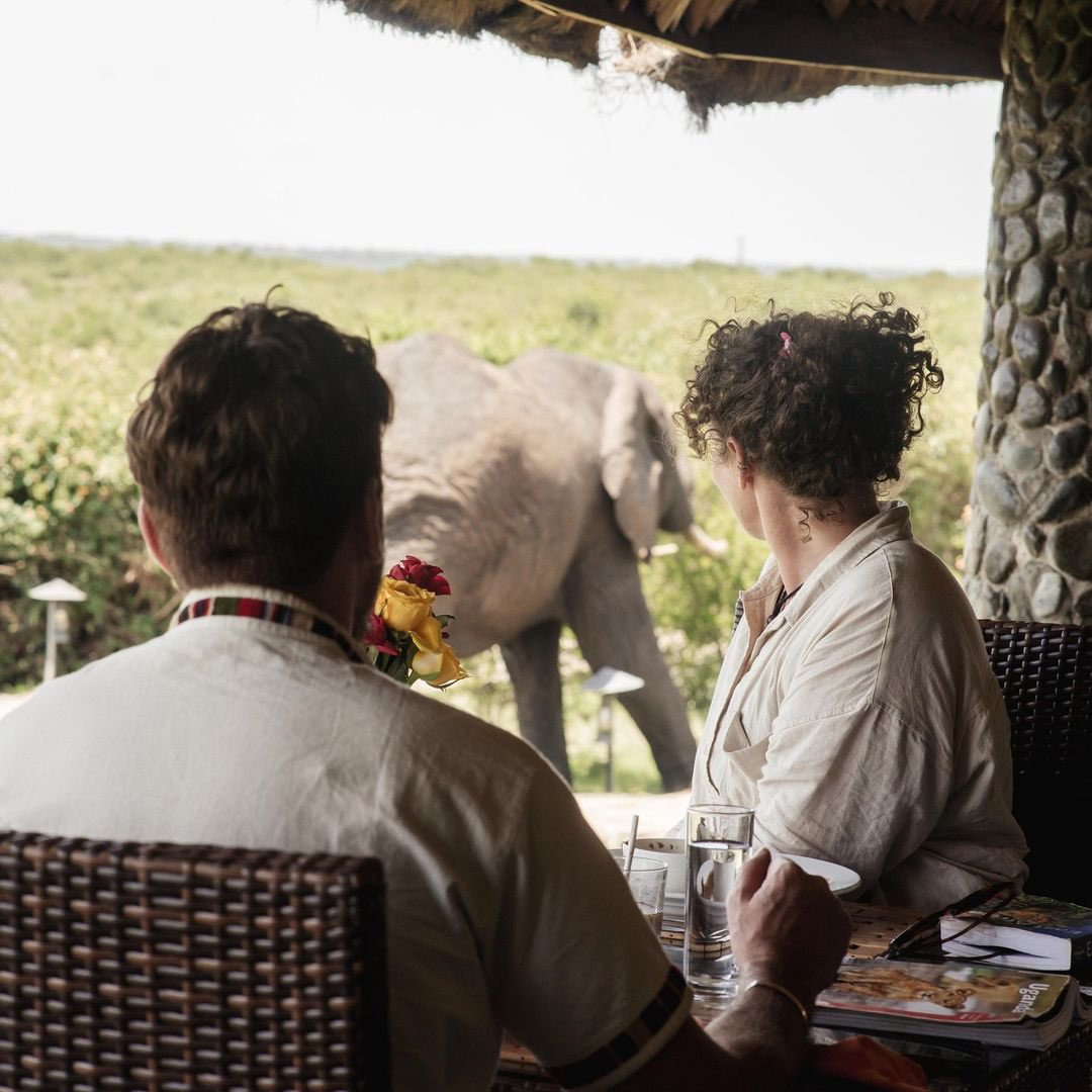 Breakfast with a view, where every bite is as delightful as the unexpected guest. Creating unforgettable endless memories of pure joy captured. #unexpectedguest #elephantencounter #VisitUganda #holiday #vacation #honeymoon #buffalosafarilodge