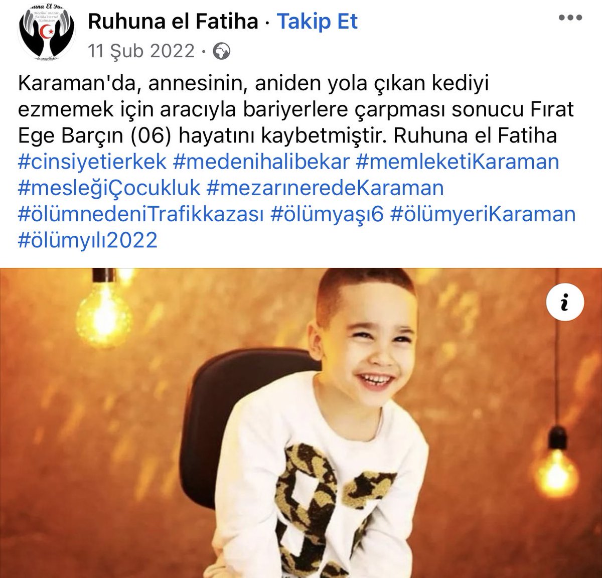 Köpek öldürdü ,sebeb oldu denilen kazalar 

Ege barçın 
Mediha barçın kahraman yola çıkan köpek değil kedi 👇🏻