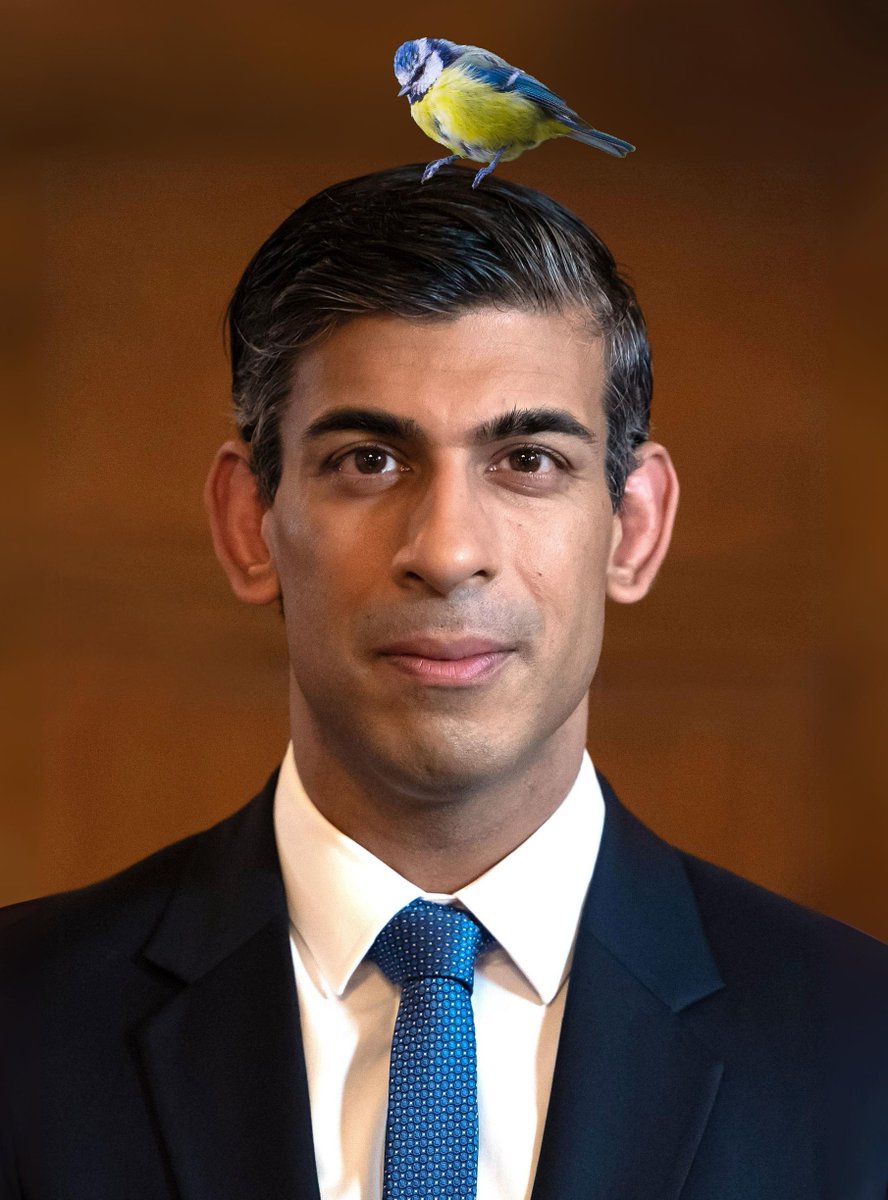 You've heard of Elf on the Shelf, now get ready for...