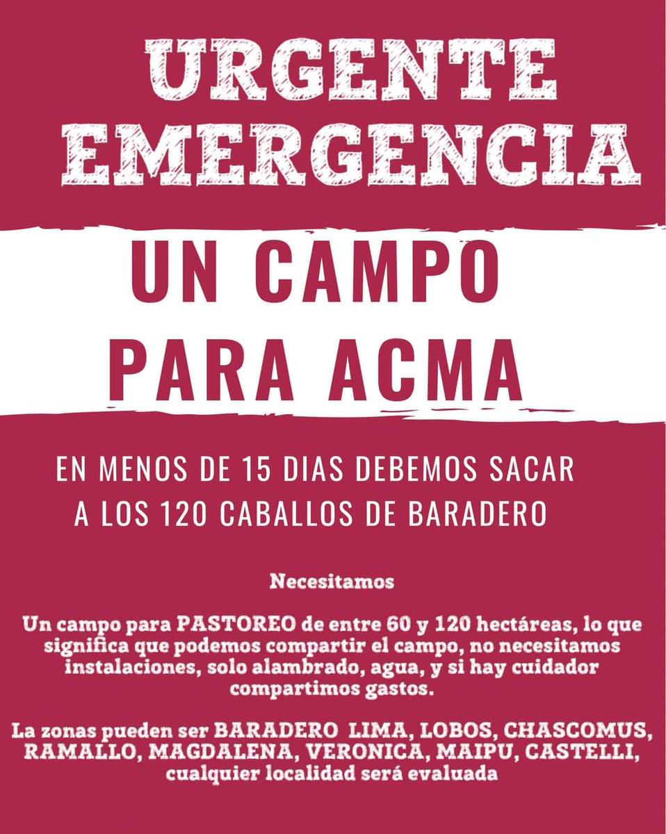 Seguimos en la búsqueda de un campo🙏

Tenemos menos de 15 días para sacar los caballos de Baradero, estamos desesperados por conseguir un lugar de manera URGENTE.

Si no conseguimos lugar lamentablemente no podremos sostenernos en el tiempo por los gastos de esta situación nos