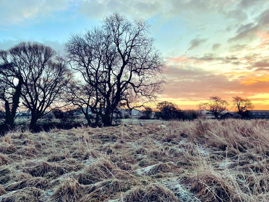Happy Christmas to all our clients and followers! As ever the office will be closed next week from Friday 22 December 2023 to 2 January 2024. Hannah, Andrew, Flora, Brad and Amy 🎄😊