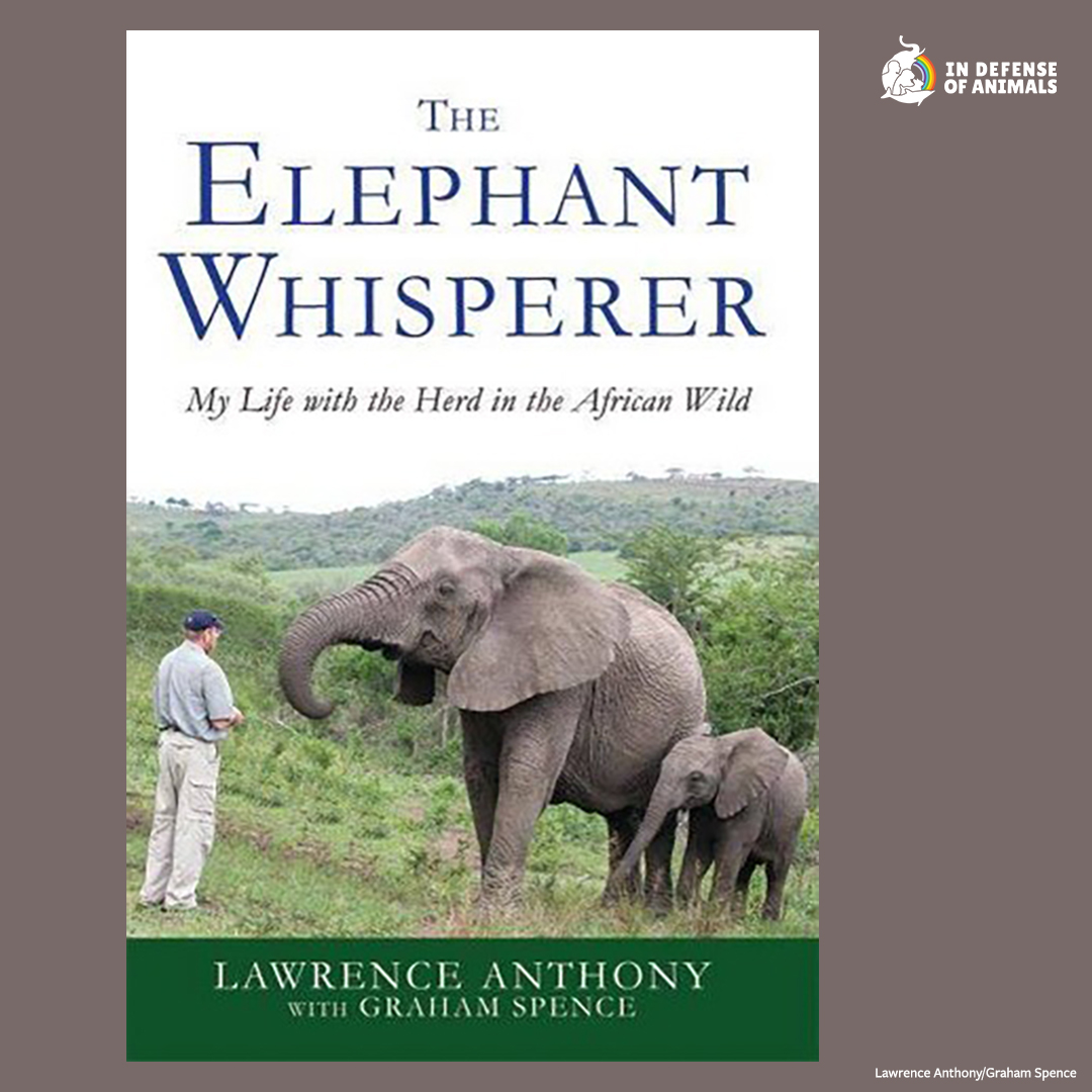 What should you get for a person who loves elephants? The Elephant Whisperer by Lawrence Anthony might be your solution. Check out our other suggested reads here: bit.ly/3GM0xAv