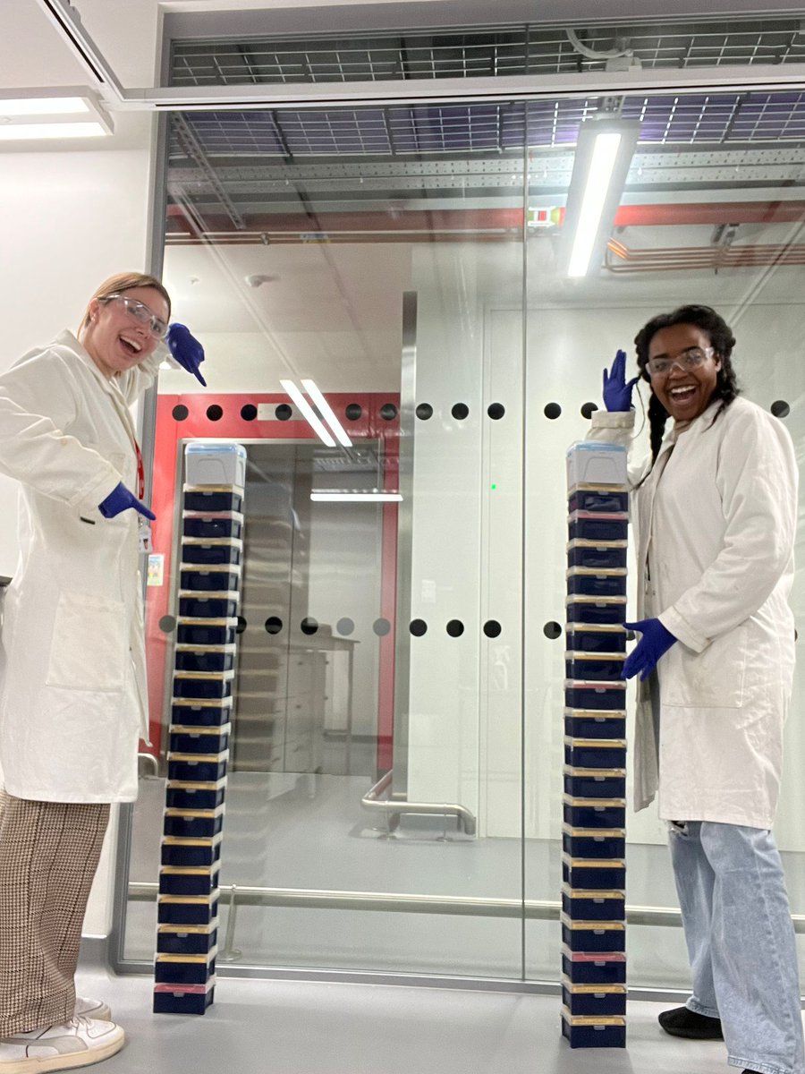 Di Antonio Research Group (@diantoniolab1) on Twitter photo It apparently takes 3,840 tips to complete library prep for our ovarian cancer genomics project supported by <a href="/ListerInstitute/">The Lister Institute of Preventive Medicine</a>. That's how <a href="/JennaRobinson27/">jenna robinson</a> and <a href="/gem_flint/">Gem Flint</a> wrapped the year for us. Merry Christmas to everyone from the Di Antonio group 🎄🎅🎄. It apparently takes 3,840 tips to complete library prep for our ovarian cancer genomics project supported by <a href="/ListerInstitute/">The Lister Institute of Preventive Medicine</a>. That's how <a href="/JennaRobinson27/">jenna robinson</a> and <a href="/gem_flint/">Gem Flint</a> wrapped the year for us. Merry Christmas to everyone from the Di Antonio group 🎄🎅🎄.