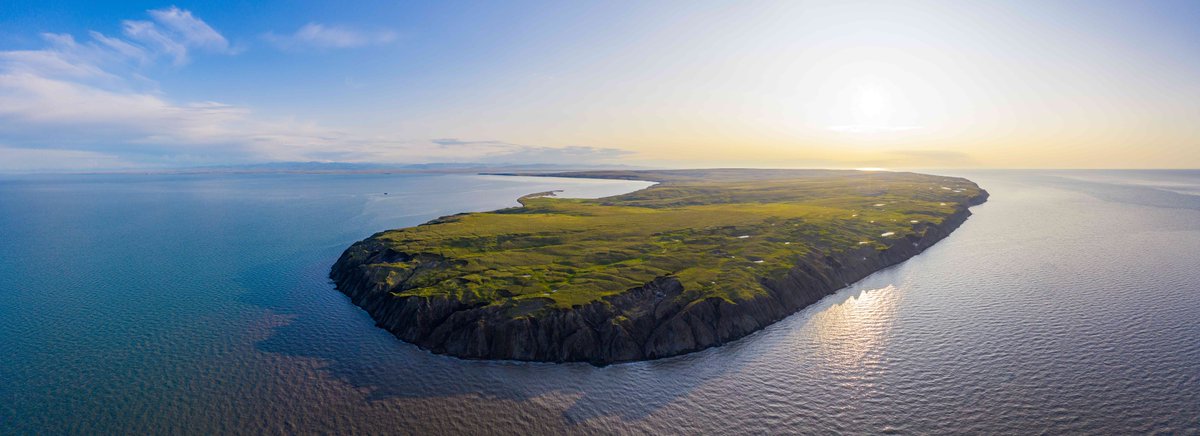 Team Shrub (@teamshrub) on Twitter photo Team Shrub @ubcforestry is recruiting for fully-funded PhDs, MScs, postdocs, a research manager and a data scientist for two new #tundra projects! Share and/or apply! Deadline for grad student applications is 16 Jan. 2024. See link for info. 📷: <a href="/JTKerby/">Jeff Kerby</a>
teamshrub.com/team-shrub/opp… Team Shrub @ubcforestry is recruiting for fully-funded PhDs, MScs, postdocs, a research manager and a data scientist for two new #tundra projects! Share and/or apply! Deadline for grad student applications is 16 Jan. 2024. See link for info. 📷: <a href="/JTKerby/">Jeff Kerby</a>
teamshrub.com/team-shrub/opp…