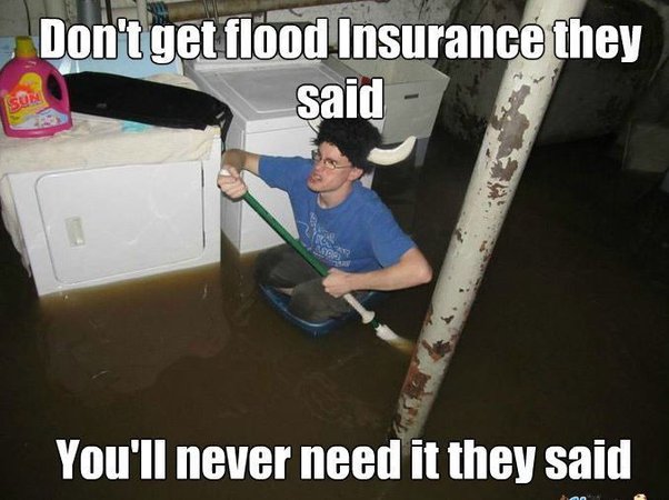 #insurance #insurancememe #flood #naturaldisaster #insuranceindustry #workmeme #meme