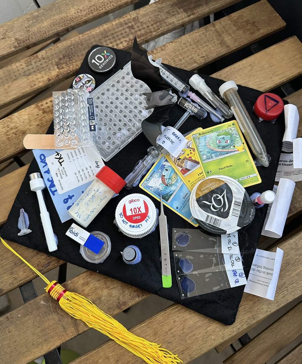 Anais Roger tweet media