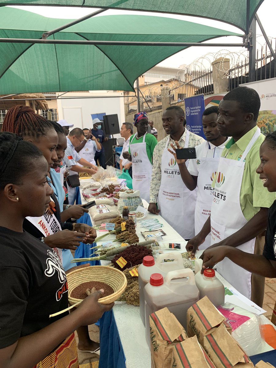 Ronald Kakeeto, PhD 🇺🇬 (@drronaldkakeeto) on Twitter photo #international year of millets 2023 im Uganda. Millets identified as part of the National food reserve policy for the country to boost production and use, says Agric. Minister Fred Kyakulaga <a href="/narouganda/">NARO Uganda</a> <a href="/CropImprovement/">Innovation Lab for Crop Improvement</a> <a href="/milet4nutrition/">millet for nutrition</a> <a href="/kayfay337/">Faizo Kasule</a> <a href="/NNasarri/">NARO-NaSARRI</a> #international year of millets 2023 im Uganda. Millets identified as part of the National food reserve policy for the country to boost production and use, says Agric. Minister Fred Kyakulaga <a href="/narouganda/">NARO Uganda</a> <a href="/CropImprovement/">Innovation Lab for Crop Improvement</a> <a href="/milet4nutrition/">millet for nutrition</a> <a href="/kayfay337/">Faizo Kasule</a> <a href="/NNasarri/">NARO-NaSARRI</a>