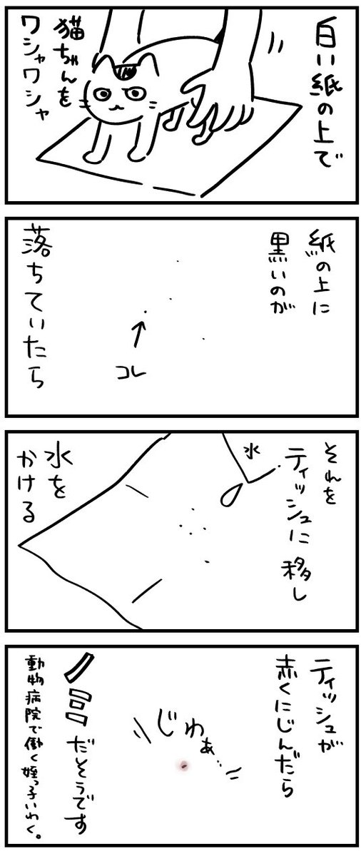 猫ちゃんが痒がってる時に試してほしい😺 