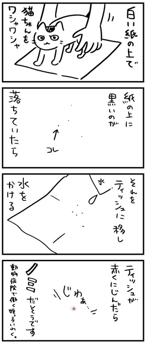 猫ちゃんが痒がってる時に試してほしい😺 