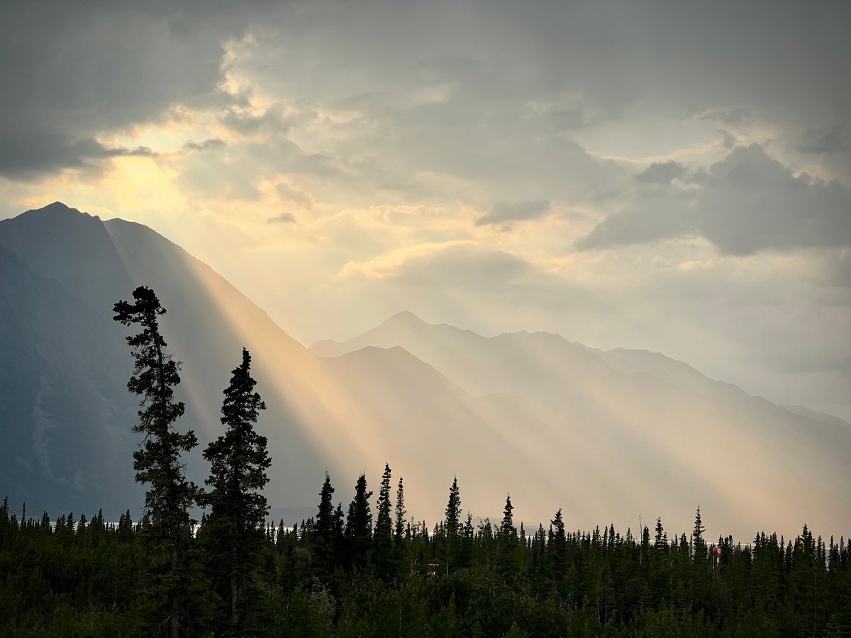 Team Shrub (@teamshrub) on Twitter photo In the <a href="/NSERC_CRSNG/">NSERC / CRSNG</a>-funded Canada Excellence Research Chair on Global Change Ecology of Northern Ecosystems, we'll work collaboratively in the Yukon, NWT and around the Arctic to capture responses to climate change. Come join the team! 📷: <a href="/IslaHMS/">Isla Myers-Smith</a>
news.ubc.ca/2023/11/16/wor… In the <a href="/NSERC_CRSNG/">NSERC / CRSNG</a>-funded Canada Excellence Research Chair on Global Change Ecology of Northern Ecosystems, we'll work collaboratively in the Yukon, NWT and around the Arctic to capture responses to climate change. Come join the team! 📷: <a href="/IslaHMS/">Isla Myers-Smith</a>
news.ubc.ca/2023/11/16/wor…