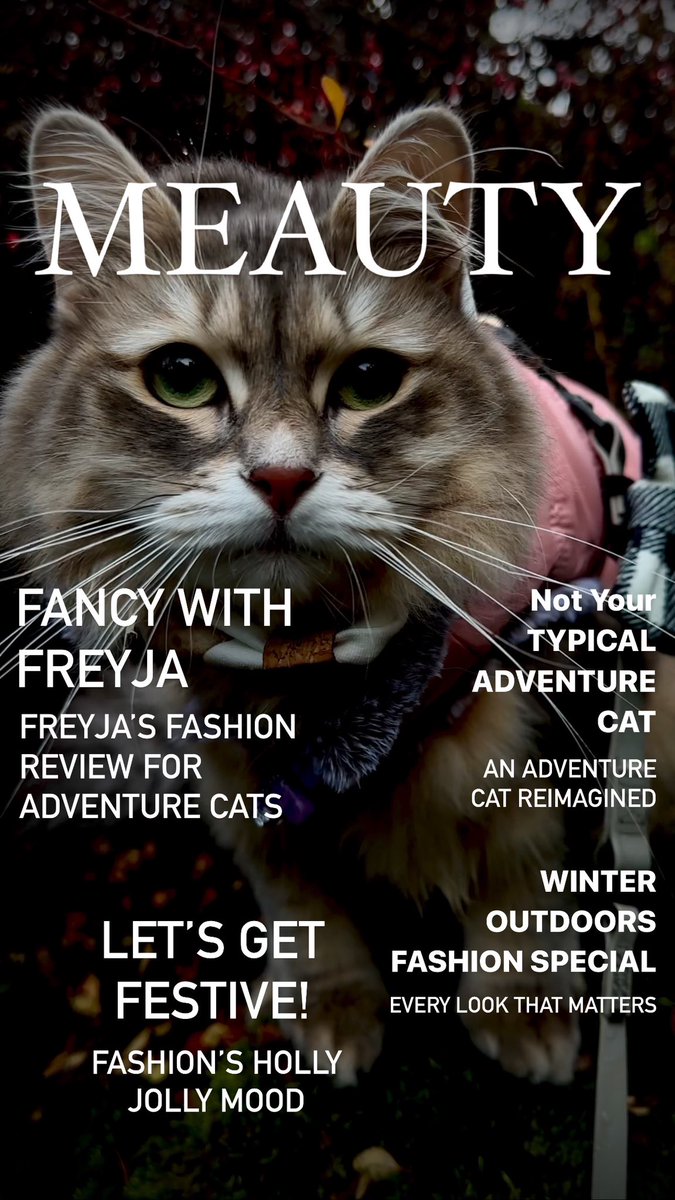 🤣 Meowmy made this MEAUTY “Beauty” magazine cover for fun! 人間がお遊びでこんな雑誌のカバー作ったにゃ🤣ビューティーをもじってミューティー #雑誌 #カバー #サイベリアン #猫好きさんと繋がりたい𓏲𓎨 #meowdel #magazine #cover #cats #siberiancat