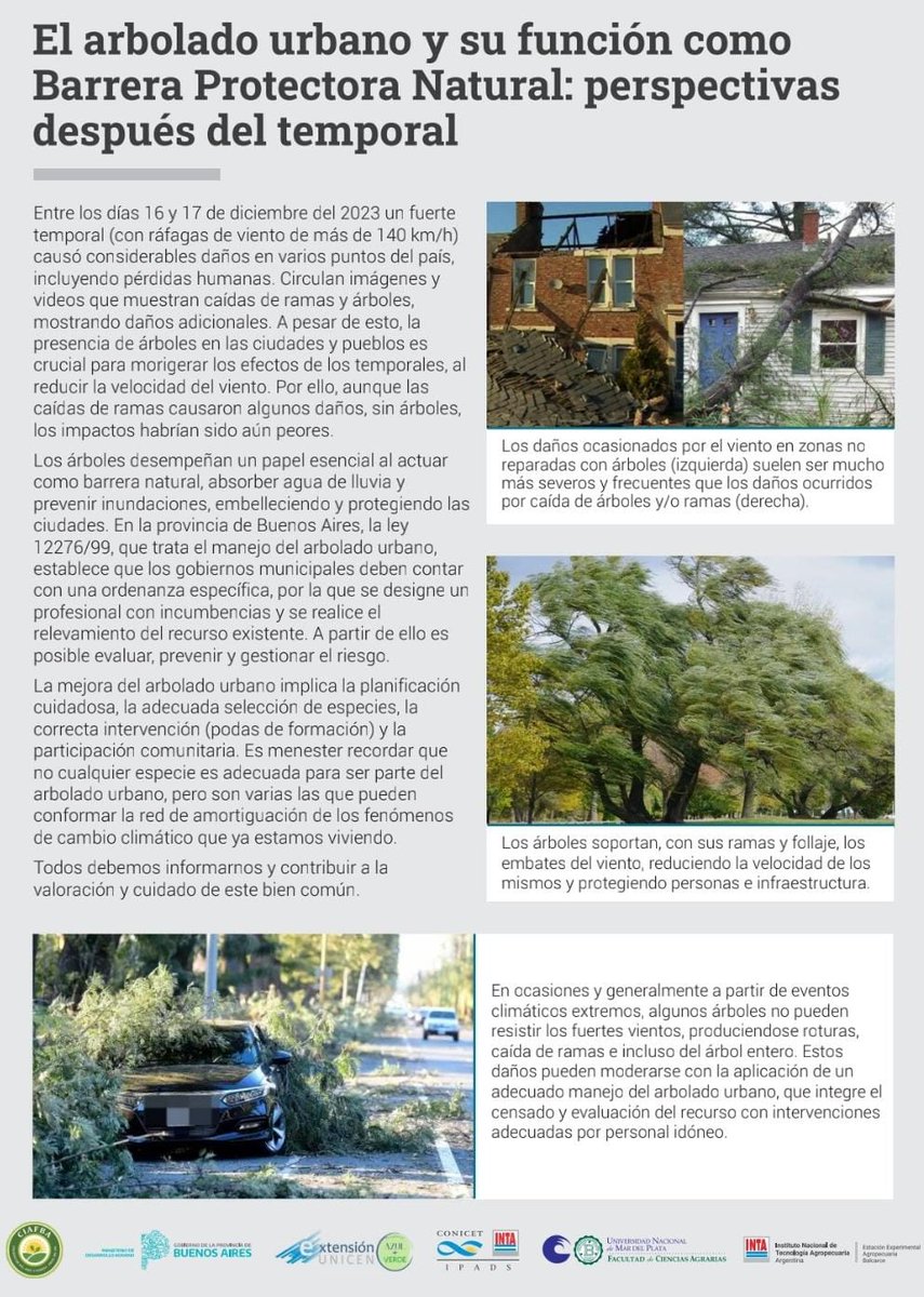 El arbolado urbano presta numerosos servicios, entre otros, actuando como amortiguadores del embate del viento. Para maximizar esto no debemos olvidarnos de seleccionar la especie correcta y de realizar un monitoreo de su estado que permita planificar el manejo más adecuado.