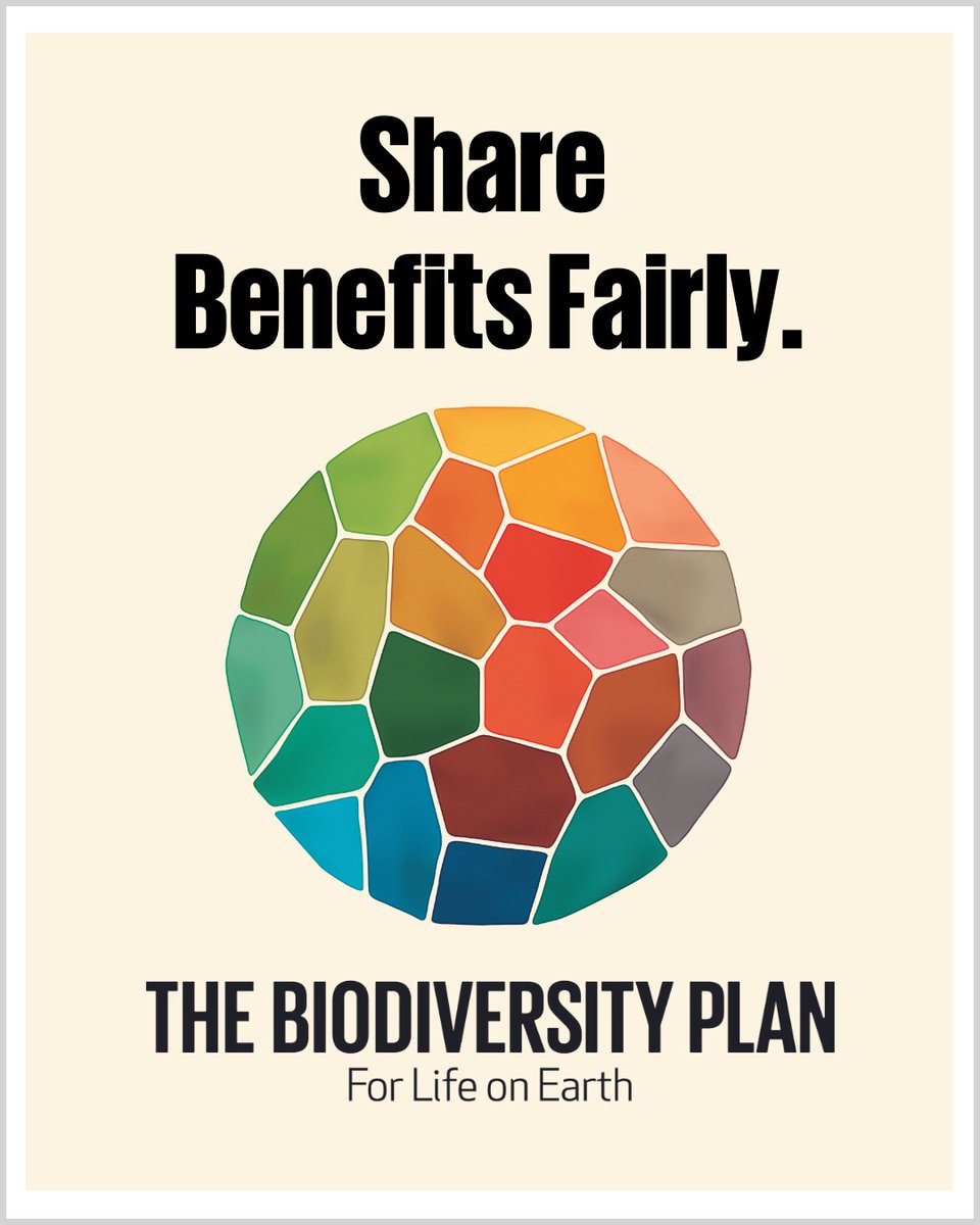 UNBiodiversity's tweet image. 1⃣ year ago on Dec 19 2022, the Kunming-Montreal Biodiversity Framework was adopted at #COP15.

This #BiodiversityPlan sets the world on a path to recovery to halt &amp;amp; reverse biodiversity loss🌱

Read 📰about the strides made over the past year.

🔗: cbd.int/article/one-ye…