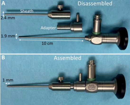 MizzouENT's tweet photo. How do you perform a direct #laryngoscopy and swallow evaluation on a rat? Dr. Lever et al has devised a protocol using a surgical human #otoscope! Now you can practice doing your micro-microflaps.

https://t.co/BwzlAonnm0

#ENTSurgery #laryngology #voice #swallow #otolaryngology https://t.co/C6NTH9uFf0