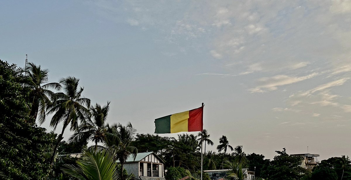 L'incendie au dépôt d'hydrocarbures de Kaloum vient aggraver une situation économique déjà précaire. Et, si des mesures urgentes et appropriées ne sont pas prises, je crains des scénarios suivants : 

▪︎ 𝗨𝗻𝗲 𝗴𝗿𝗮𝘃𝗲 𝗽𝗲́𝗻𝘂𝗿𝗶𝗲 𝗱𝗲 𝗰𝗮𝗿𝗯𝘂𝗿𝗮𝗻𝘁 : il faut