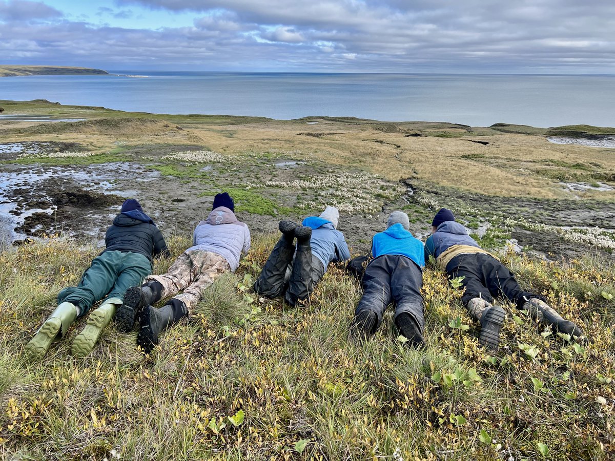 Team Shrub (@teamshrub) on Twitter photo Our team’s research sits at the interface of field ecology, data synthesis and remote sensing. I am keen to recruit a diverse team that are interested in collaborative research, quantitative skills and engagement with Northern partners and Indigenous communities. 📷: <a href="/IslaHMS/">Isla Myers-Smith</a> Our team’s research sits at the interface of field ecology, data synthesis and remote sensing. I am keen to recruit a diverse team that are interested in collaborative research, quantitative skills and engagement with Northern partners and Indigenous communities. 📷: <a href="/IslaHMS/">Isla Myers-Smith</a>