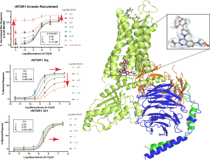 📢 Don't miss what everyone is reading! 👀 This recent article has over 2,400 views:

📑 Neurotensin Receptor Allosterism Revealed in Complex with a Biased Allosteric Modulator

🖊 Brian Krumm et al from <a href="/RothLabUNC/">Bryan Roth</a> <a href="/zenbrainest/">BryanRoth</a>

Read here ➡ go.acs.org/7oo