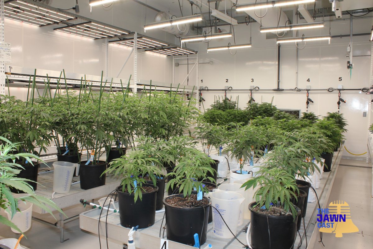 TheJawncast's tweet photo. .@cann_company is a multi-state cannabis business with huge facilities, but they want to see small, local businesses thrive.

“Just hearing their dreams and their goals start to come to life, and we can be a part to help that, is tremendous for me.”

🎧  https://t.co/LUSlBIRif3 https://t.co/1vydRu2T6W