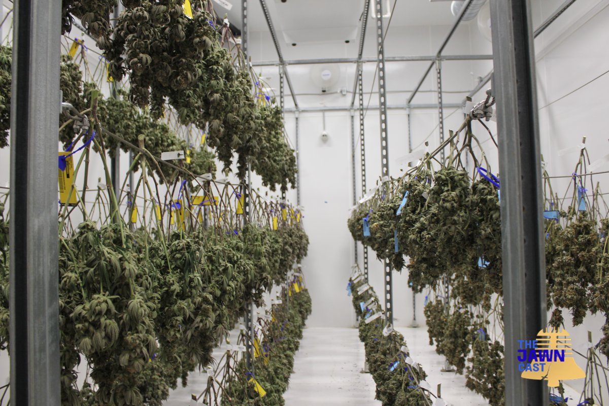 .<a href="/cann_company/">The Cannabist Company</a> is a multi-state cannabis business with huge facilities, but they want to see small, local businesses thrive.

“Just hearing their dreams and their goals start to come to life, and we can be a part to help that, is tremendous for me.”

🎧  bit.ly/3v1jVqE