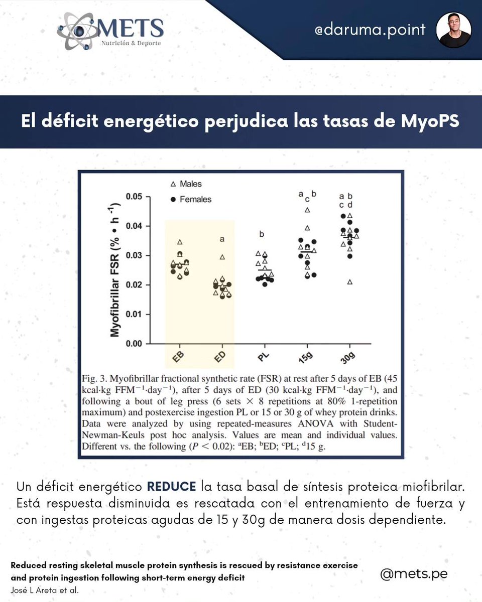 mets_pe's tweet photo. EL DÉFICIT ENERGÉTICO PERJUDICA LAS TASAS DE MyoPS  

📉En condiciones no #ejercicio, el #déficitcalórico induciría pérdidas de #músculo a medio/largo plazo, hallazgo que es consistente con la literatura referente a la pérdida de #peso.  

👇Más info 👇
https://t.co/Q5wiDARCL2 https://t.co/NMzVzyV2BH