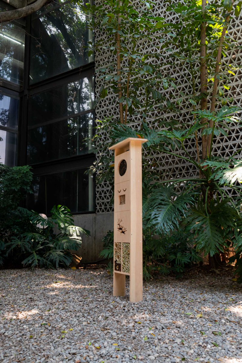 LaTallera's tweet photo. ¿Estás de vacaciones? Ven a La Tallera a pasear, tomar un café o leer un libro; admira la arquitectura del edificio y sorpréndete con las obras que están en #Sceleton, #FlorescenciasRadicales y #DisrupciónEruptiva.

Martes a domingo, de 10 a 18 h.
@bellasartesinba @redmuseosINBAL https://t.co/ztXtmzI4Cw