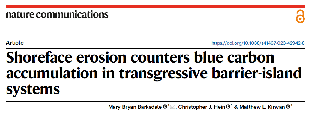 10 years I've been watching waves expose &amp; chew up saltmarsh &amp; lagoon mud along the beaches &amp; shorefaces of the VA Barrier Islands. Thanks to an incredible effort by <a href="/MaryBryanBarks1/">Mary Bryan Barksdale</a> we've been able to quantify that process &amp; implications for blue carbon. vims.edu/newsandevents/…
