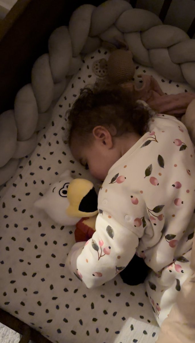 Zoë Petrillo tweet media