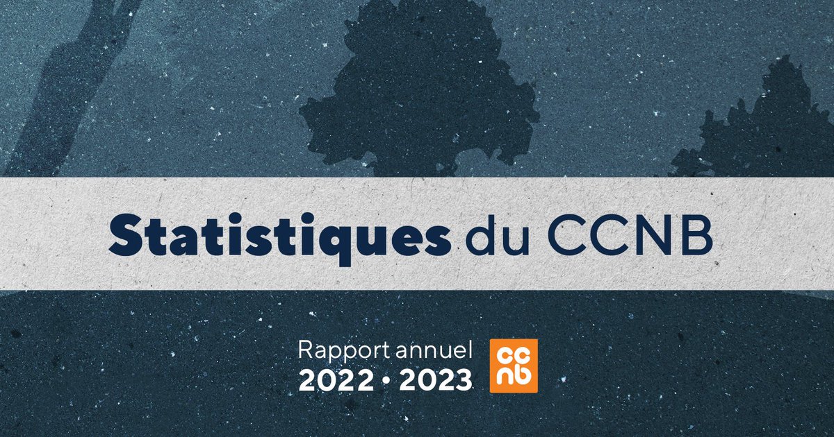 Jour 3 de notre série sur le rapport annuel: Nous sommes fiers d’un taux d’embauche de 91% un an après la fin des études, dont 87% restent au Nouveau-Brunswick. De plus, nous avons accueilli près de 1 000 étudiants internationaux cette année. #CCNB #croissance
