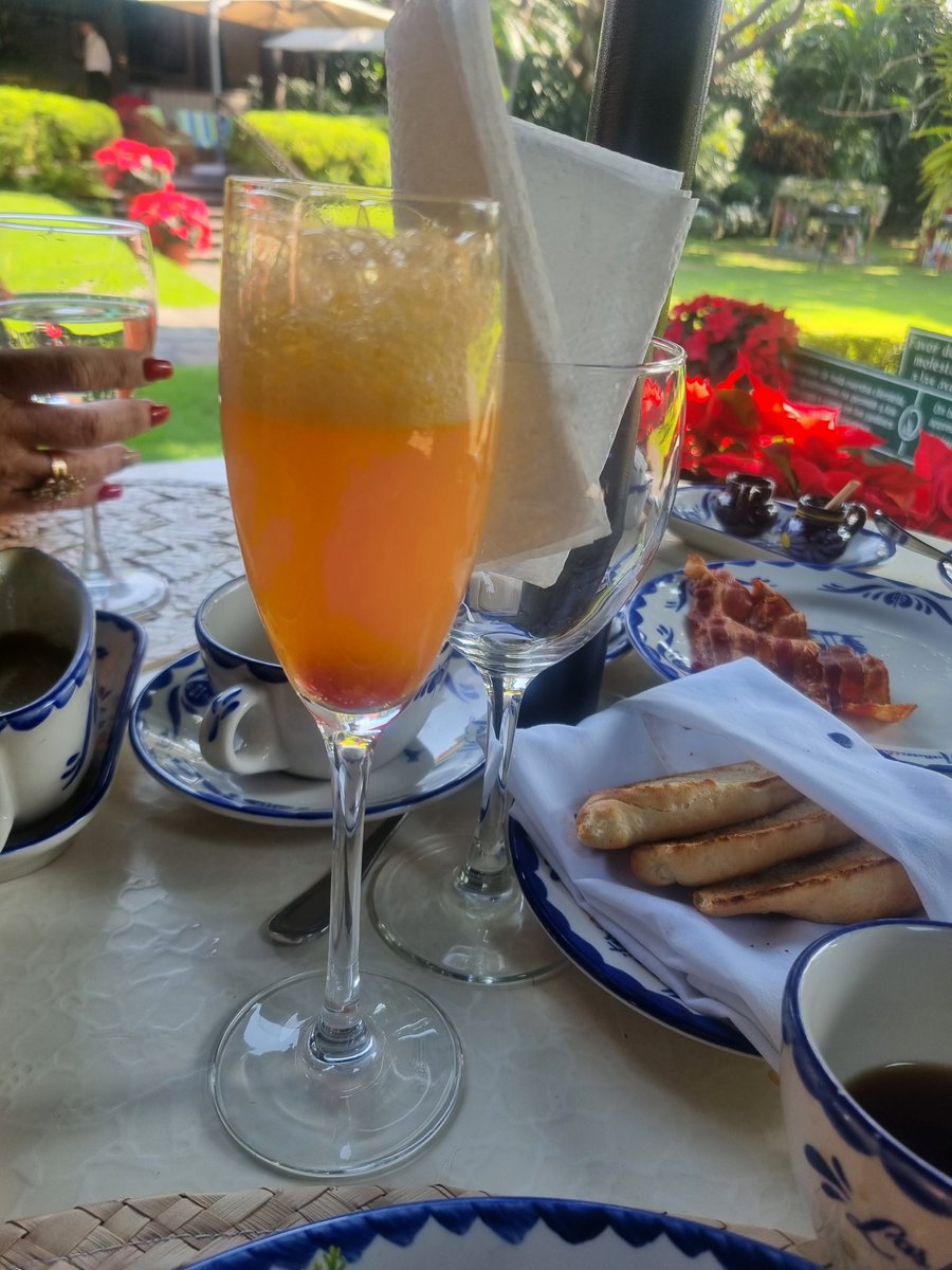 monicpardo's tweet photo. La vida es de festejos y de saber leer las señales.
Agradecida por esas señales del cielo.
#estoescuernavaca #señales #orange #champagne #gratitud #lasmañanitas https://t.co/MQooBN7X9u