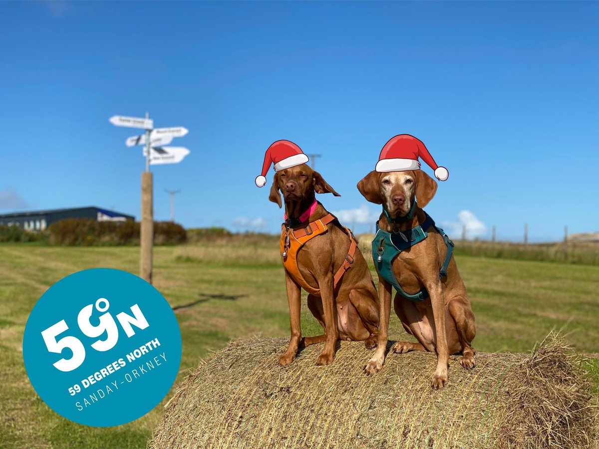 We have a full stock of ProDog Raw dog food now in stock for Christmas & we'll be collecting a big order from The Raw Factory towards the end of January. Isla and Eden wish all their 4 legged pals a very merry Christmas! 🐶 🐾 ❤️ 🐕