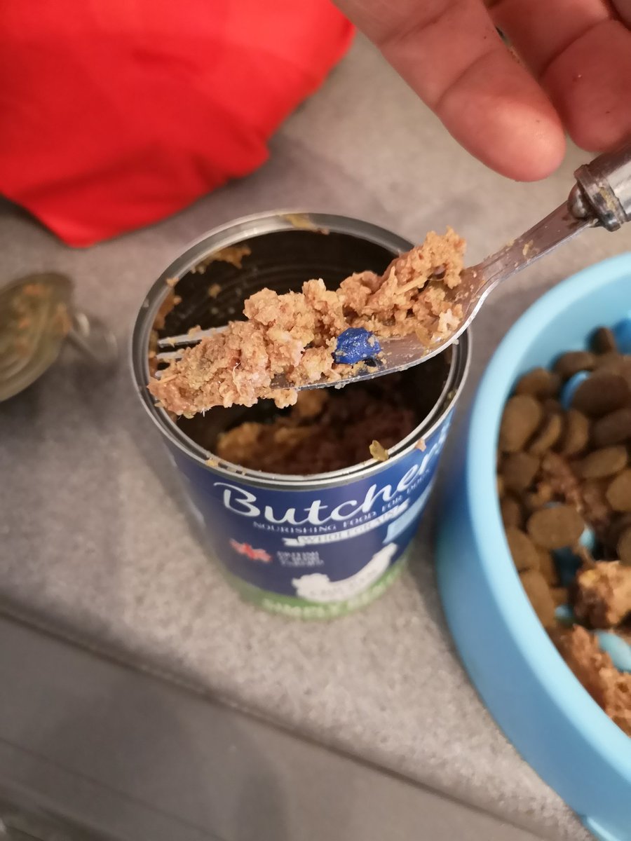 LewisLuckup's tweet photo. @butchersdogfood may want to check your equipment, just found a blue bit of plastic in one of your 390g simply gentle cans. The dog loves your food but don't think this is an intended ingredient. https://t.co/Cfm0tPJgog