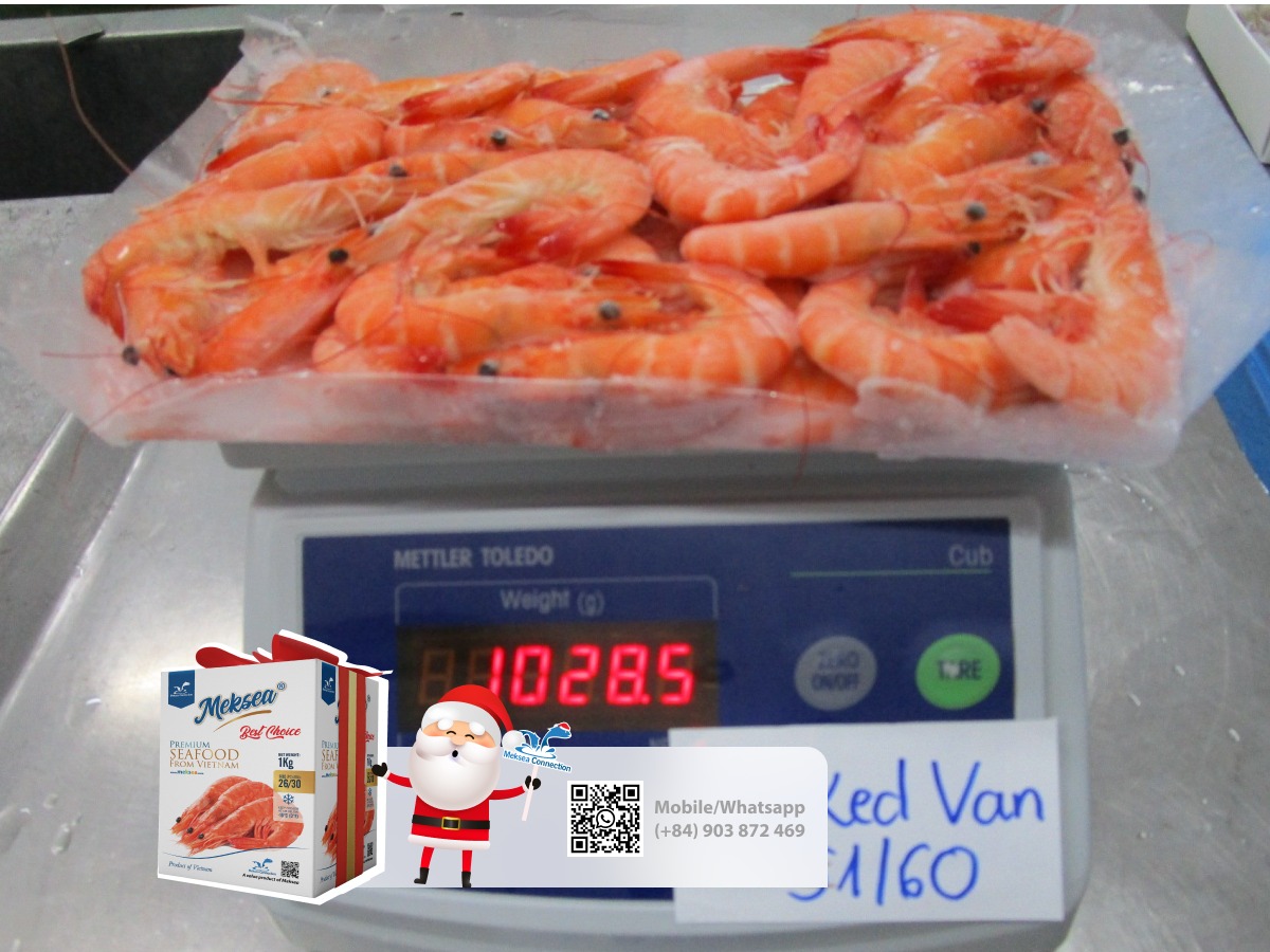 High-quality cooked Vannamei HOSO shrimp
mekseaconnection.com/product-catego…
Bellaaa26261010@gmail.com
or sales23@mekseaconnection.com

#vietnamesefood #vietnamsupplier #seafoodfromVietnam #seafoodfromVietnam #shrimp #frozenshrimp #blacktigershrimp #prawn #prawnvietnam #blacktigerprawn